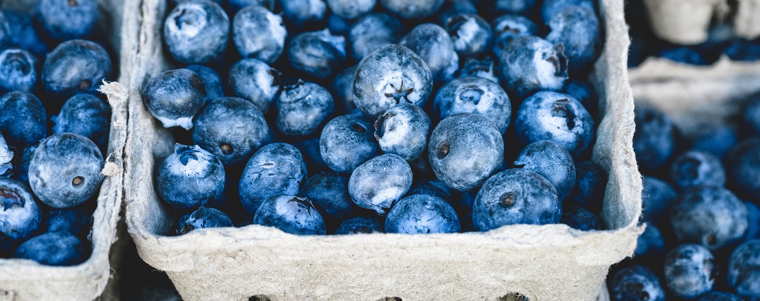 Farmers Market Photo