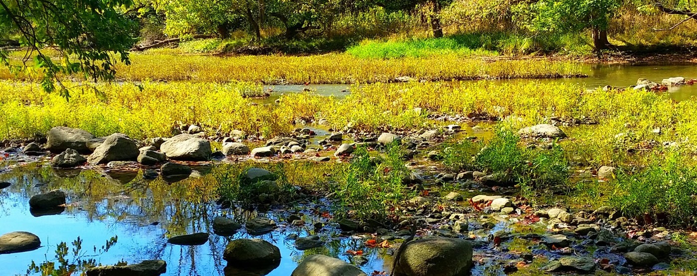 Darby Creek Day Event Photo